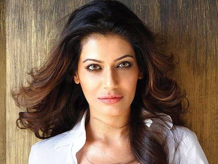  ઉલ્લેખનીય છે કે #MeToo કેમ્પેઈનમાં ઘણી દિગ્ગજ હસ્તીઓના નામ સામે આવી ચૂક્યા છે, જેમાં કેંદ્રીય મંત્રી એમજે અકબર,નાના પાટેકર, ડાયરેક્ટર વિકાસ બહલ, પત્રકાર વિનોદ દુઆ, સાજિદ ખાન, આલોક નાથ, કૈલાશ ખેર સહિતના લોકો પર યૌનશોષણનો આરોપ લાગી ચૂક્યો છે. 