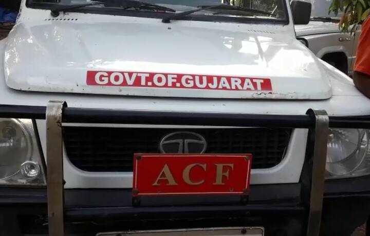  મળતી માહિતી મુજબ, તંત્ર દ્વારા પ્રથમ દિવસે 11 હોટલ, બીજા દિવસે 19 હોટલ અને ત્રીજા દિવસે 10 હોટલ સીલ કરી છે. આમ ગીરમાં 40 ફાર્મ સીલ કર્યા, હજુ કાર્યવાહી યથાવત છે, આ દરોડાઓમાં 6 લાખની વીજ ચોરી પણ બહાર આવી છે. જોકે હજુ પણ મોડી રાત્રી સુધી સાસણ નજીક ભોજદે બોરવાવ અને ચિત્રોડ ગામમાં દરોડા ચાલુ રહશે. તમને જણાવી દઈએ કે, ગીર અને આસપાસ 120 જેટલી હોટેલો અને ફાર્મ હાઇસો ગેરકાયદે ધમધમી રહ્યી છે, જે તમામ પર કાર્યવાહી કરવામાં આવશે.