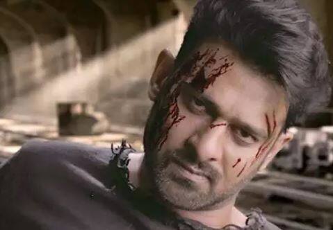 મેકિંગ વીડિયોને 24 કલાકમાં 10 લાખથી વધુ જોવામાં આવ્યો હતો. એક્શનથી ભરપુર આ વીડિયોને 15 લાખથી વધુ હિટ્સ મળી ચુક્યા છે. ફિલ્મમાં નીલ નીતિન મુકેશ પણ નેગેટિવ રોલ કરી રહ્યો છે. મેકિંગ વીડિયો બાદ હાલમાં નીલે પોતાના ઈન્સ્ટાગ્રામ એકાઉન્ટમાં એક વીડિયો શેર કર્યો હતો જેમા એક્શનથી ભરપુર આ સીનમાં નજર આવી રહ્યો છે. આ ફિલ્મમાં શ્રદ્ધા કપુર પણ મહત્વની ભૂમિકા નિભાવી રહી છે. આ ફિલ્મથી શ્રદ્ધા કપુર સાઉથની ફિલ્મોમાં પદાર્પણ કરી રહી છે. બાહુબલી અને બાહુબલી-2ની સફળતા બાદ પ્રભાસ હવે આ ફિલ્મ કરી રહ્યો છે. 