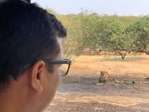 કોંગ્રેસના ક્યા ધારાસભ્યએ સિંહો સાથે લીધી સેલ્ફી, તસવીરો થઈ વાયરલ