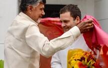 ભાજપને હરાવવા TDP-કૉંગ્રેસ વચ્ચે ગઠબંધન, ચંદ્રાબાબૂ નાયડૂએ રાહુલ ગાંધી સાથે કરી મુલાકાત