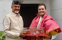 ભાજપને હરાવવા TDP-કૉંગ્રેસ વચ્ચે ગઠબંધન, ચંદ્રાબાબૂ નાયડૂએ રાહુલ ગાંધી સાથે કરી મુલાકાત