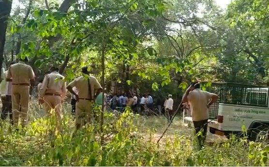 સચિવાલય સંકૂલને સવારથી જ બંધ રાખવામાં આવ્યું હતું. મુલાકાતીઓ અને કર્મચારીઓને દીપડાના કારણે સંકૂલમાં પ્રવેશ આપવામાં આવ્યો નહોતો. દીપડાને પકડી લેવા માટે વિવિધ જગ્યા પર પાંજરા પણ મૂકવામાં આવ્યા હતા.