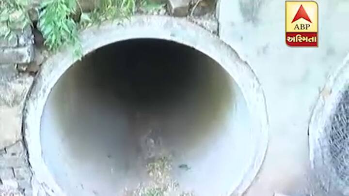 દીપડો ફરીથી ગાંધીનગરમાં ઘૂસ્યો હોવાના સમાચારથી જીઇબી તંત્રમાં ભયનો માહોલ ફેલાયો હતો. જોકે, સ્થાનિક સુરક્ષા જવાનોએ તપાસ કરતાં જંગલી બિલાડો હોવાનું સામે આવતાં તમામે રાહતના શ્વાસ લીધી હતા. 