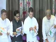 છત્તીસગઢ વિધાનસભા ચૂંટણી: કૉંગ્રેસે ચૂંટણી ઢંઢેરાની કરી જાહેરાત, જાણો શું કરવામાં આવ્યા વાયદા