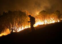 કેલિફોર્નિયાના જંગલોમાં લાગેલી આગથી મચી હાહાકાર, અત્યાર સુધી 74ના મોત, 1,000થી વધુ ગુમ