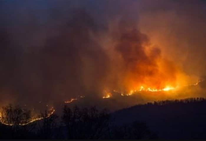  ઉલ્લેખનીય છે કે, કેલિફોર્નિયા પ્રાંતના જંગલોમાં લાગેલી ભીષણ આગ હવે આસપાસના શહેરોને પોતાની ઝપેટમાં લેઈ રહી છે. ફાયર બ્રિગેડની ટીમ આગ પર કાબુ મેળવવા માટે મથી રહી છે. 