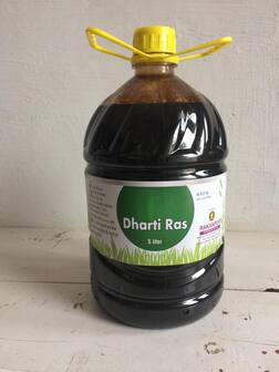 આ દવા ખેડૂતોને પરાળી બાળવામાંથી આપી શકે છે છૂટકારો, ખેતર બનશે ફળદ્રુપ