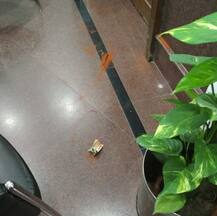 દિલ્હીઃ યુવકે સચિવાલયમાં જ કેજરીવાલ પર મરચાનો પાવડર છાંટી કર્યો હુમલો, જાણો વિગત