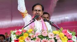 એગ્ઝિટ પોલ: તેલંગણા-મિઝોરમમાં કોની બનશે સરકાર? જાણો કોને કેટલી બેઠકો મળશે?