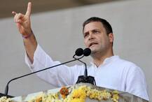 ‘એક વર્ષ’ના થયા કોંગ્રેસ અધ્યક્ષ રાહુલ ગાંધી, પ્રથમ બર્થડે પર મળી શકે છે ગિફ્ટ