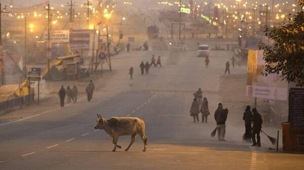 પરંતુ વેસ્ટર્ન ડિસ્ટર્બન્સથી ઠંડા પવનનું જોર ઘટશે. જેના કારણે બે દિવસ ઠંડકમાં ઘટાડો નોંધાશે અને 17 ડિસેમ્બરે વેસ્ટર્ન ડિસ્ટર્બન્સ પસાર થયા બાદ અમદાવાદ સહિત સમગ્ર ગુજરાતમાં ફરીથી ઠંડીનું જોર વધશે. અમદાવાદમાં પણ 10 ડિગ્રીની નીચે પારો જવાની શક્યતા છે.