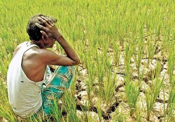 ખેડૂતોના કારણે જ સરકાર રૂપિયા 900 કરોડનું ભારણ વેઠી રહી છે. આ ઉપરાંત ડ્રીપ ઈરીગેશન અને વિજળીને કારણે સરકારને આર્થિક ફટકો પડ્યો છે. ખેડૂતો માટેની વિવિધ યોજનાઓ અમલી હોવાથી કોઈ પણ ભોગે દેવું માફ થશે નહીં. અન્ય રાજ્યોમાં ખેડૂતો માટે દેવું માફ થઈ રહ્યું છે ત્યારે ગુજરાત સરકારે તો આ વાત પર પૂર્ણવિરામ મૂકી દીધું છે જેના કારણે ખેડૂતોમાં ભારે રોષ ભભૂક્યો છે. ભાજપના શાસકોનો તો એવો પણ મત છે કે, ગુજરાતના ખેડૂતો અન્ય રાજ્યોની સરખામણીએ વધુ સમૃદ્ધ છે. 