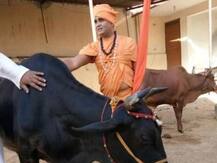 ધર્મના નામે ખોટું બોલવાથી ભાજપની થઈ હાર, શંકરાચાર્યનું નિવેદન