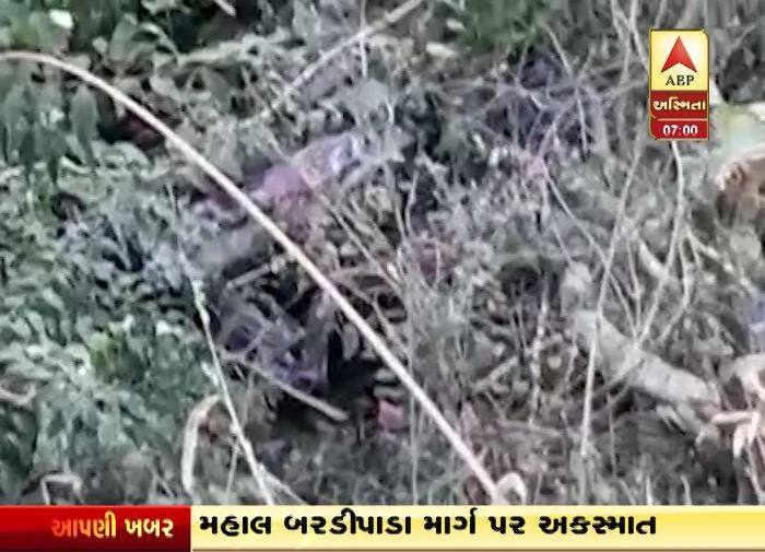 બસમાં આશરે 50 વિદ્યાર્થીઓ સવાર હતા. 8 વિદ્યાર્થીઓના મોત થયા છે. તમામ બાળકો 8થી 16 વર્ષના છે. આ મુદ્દે તંત્રને જાણ થતા ડાંગ જીલ્લા તંત્ર દોડતું થઈ ગયું છે. જેમાં વિદ્યાર્થીઓને ગંભીર ઈજાઓ પહોંચતા તેમને સારવાર અર્થે નજીકની હોસ્પિટલમાં ખસેડવાની કામગીરી હાથ ધરવામાં આવી છે.