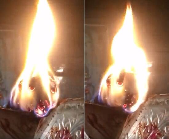 વીડિયોમાં જોવામાં આવતી જ્યોતમાં સાક્ષાત વાઘનું સ્વરૂપ જોવા મળી રહ્યું છે. તેમાં બે આંખ, કાન, મોઢું જોવા મળી રહ્યું છે. ગબ્બરનું ધાર્મિક મહત્વ હિન્દુ આસ્થાળુઓ માટે ઘણું છે. આ વીડિયો હાલ સોશિયલ મીડિયામાં વાયરલ થયો છે. જ્યારે ભક્તો કૂતુહલતા સાથે ભાવ વિભોર થઈ રહ્યા છે.