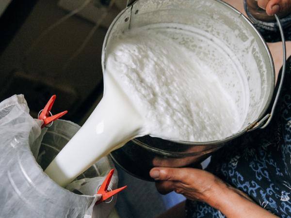 Farmer Selling milk at Rs 100 per liter, Kheer, Paneer and Lassi langar 100 ਰੁਪਏ ਲਿਟਰ ਦੁੱਧ ਖਰੀਦਣ ਤੋਂ ਕੀਤੀ ਨਾਂਹ-ਨੁੱਕਰ ਤਾਂ ਕਿਸਾਨਾਂ ਨੇ ਲਾ ਦਿੱਤੇ ਖੀਰ, ਪਨੀਰ ਤੇ ਲੱਸੀ ਦੇ ਲੰਗਰ