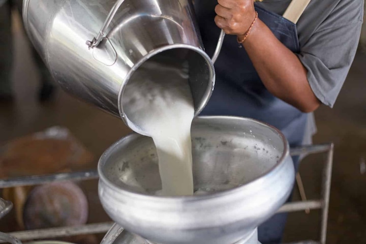 Haryana farmers selling milk at Rs 100 per liter 100 ਰੁਪਏ ਪ੍ਰਤੀ ਲਿਟਰ ਦੁੱਧ ਵੇਚਣ ਮਗਰੋਂ ਹਾਹਾਕਾਰ!