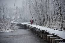 ભારતના સ્વર્ગ એવા શ્રીનગરમાં છવાઈ સફેદ ચાદર, તસવીરોમાં માણો ત્યાંનો નજારો