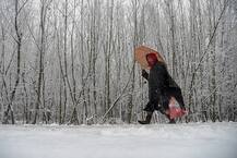 ભારતના સ્વર્ગ એવા શ્રીનગરમાં છવાઈ સફેદ ચાદર, તસવીરોમાં માણો ત્યાંનો નજારો