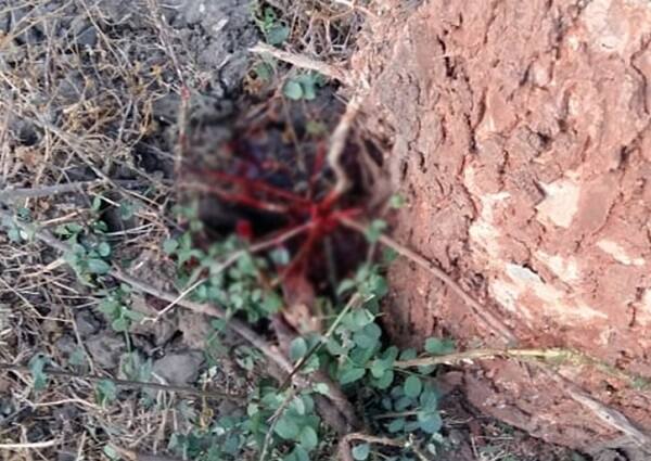 રવિવારે યોજાયેલી લોક રક્ષક દળની પરીક્ષા માટે માલપુરના મગોડી ગામનો વિપુલ ખાંટ નામનો યુવક બાઈક પર સવાર થઈને કપડવંજ જઈ રહ્યો હતો. તે દરમિયાન બાયડના સરસોલી ગામ ખાતે તેનું બાઈક ઝાડ સાથે ટકરાયું હતું. બાઇક ઝાડ સાથે ટકરાયા બાદ વિપુલના માથામાં ગંભીર ઈજા પહોંચી હતી. ત્યાર બાદ તેનું ઘટનાસ્થળ પર જ મોત થયું હતું. નોંધનીય છે કે અરવલ્લી જિલ્લામાં એલઆરડીની પરીક્ષા માટે કોઈ જ કેન્દ્ર આવ્યું નથી.