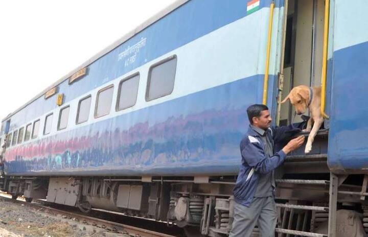 હત્યારાઓએ જયંતિભાઈ ભાનુશાળી સાથે કચ્છી ભાષામાં વાત કરી હોવાથી કોઇ સ્થાનિક ગેંગની સંડોવણી હોવાનું પોલીસ માની રહી છે. બીજી તરફ ફાયરિંગમાં વાપરવામાં આવેલી ગોળી 7.65 એમએમની હોવાથી આવી ગોળી ઉત્તરપ્રદેશ તથા મધ્યપ્રદેશની ગેંગ હોવાની આશંકા છે.