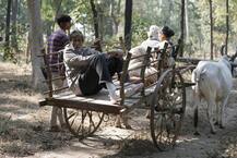 અમિતાભ બચ્ચને કરી બળદ ગાડાની સવારી, જુઓ તસવીરો