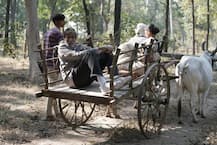 અમિતાભ બચ્ચને કરી બળદ ગાડાની સવારી, જુઓ તસવીરો