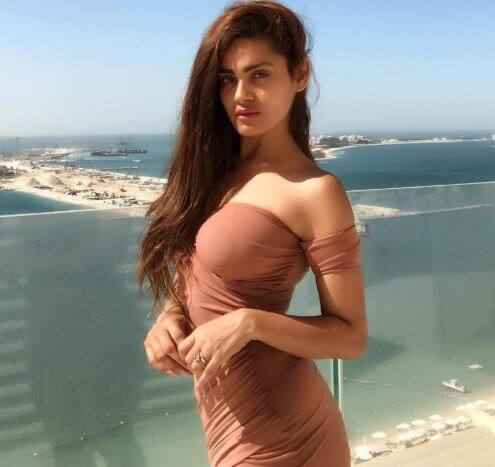 સાક્ષીએ પોતાના કરિયરની શરૂઆત તેલુગૂ ફિલ્મોથી કરી હતી. દક્ષિણ ભારતીય ઈન્ડસ્ટ્રીમાં સાક્ષીને ખૂબ પસંદ કરવામાં આવે છે. 