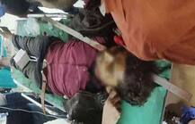 અમદાવાદ: બિલ્ડીંગ પરથી પડેલો સળિયો નીચે ઉભેલા યુવાનના માથામાંથી ગળા સુધી આરપાર થયો