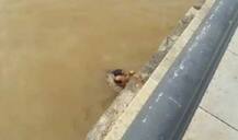 છૂટાછેડા લીધાંના ત્રણ દિવસ બાદ જ ભરૂચની યુવતીએ અમદાવાદમાં કર્યો આપઘાત, જાણો વિગત