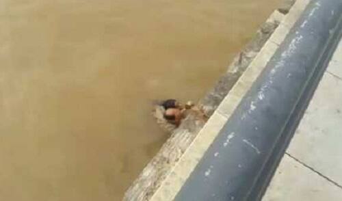 અમદાવાદના ખાનપુર ખાતે આવેલા વોક-વે પરથી પારૂલ હસમુખભાઇ પટેલે નદીમાં ઝંપલાવ્યું હતું. આ મૃતક યુવતી ભરૂચનાં બલોટા ગામની વતની હતી. આજે જ તેનો જન્મદિવસ પણ હતો. આ યુવતીનાં 17મી જાન્યુઆરીનાં રોજ છૂટાછેડા થયા હતાં. આનાં કારણે જ યુવતીએ આ અંતિમ પગલું ભર્યું તેવી ચર્ચાઓ પણ ચાલી રહી હતી. આ મામલામાં હજી આપઘાત કરવાનું કારણ સામે આવ્યું નથી. હાલ તેની પાસેથી કોઈ સ્યુસાઇડ નોટ પણ મળી નથી.