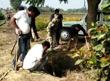 વિસાવદરના નાની મોણપરી ગામમાં ખુલ્લા કુવામાં ખાબકેલી સિંહણનું કરાયું રેસ્ક્યૂ, જુઓ તસવીરો