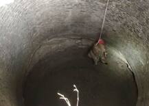 વિસાવદરના નાની મોણપરી ગામમાં ખુલ્લા કુવામાં ખાબકેલી સિંહણનું કરાયું રેસ્ક્યૂ, જુઓ તસવીરો