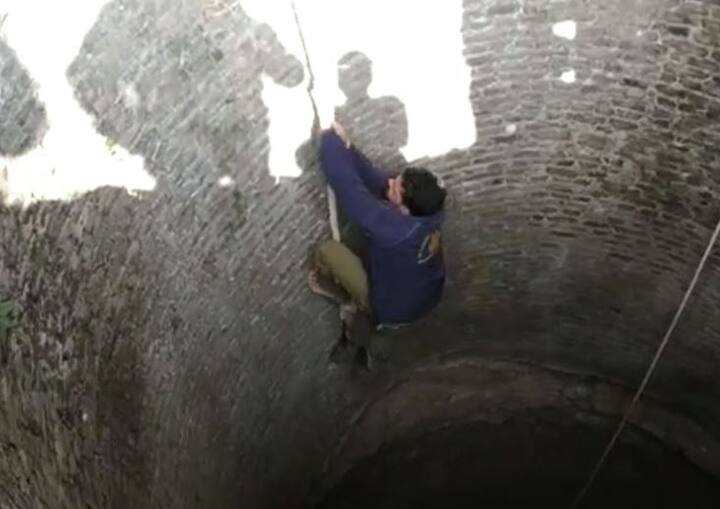 કૂવામાંથી બાળ સિંહણને બહાર કાઢવા માટે વન વિભાગની ટીમે એક કલાક સુધી મહેનત કરી હતી. સૌ પ્રથમ કૂવામાં રહેલી સિંહણને ગન વડે બેભાન કરવામાં આવી હતી. બાદમાં એક ટ્રેકરને કૂવામાં ઉતારવામાં આવ્યો હતો.