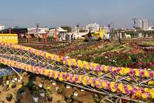 અમદાવાદમાં ફ્લાવર-શો હવે કઈ તારીખ સુધી ખુલ્લો રહેશે? જાણો વિગત