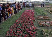 અમદાવાદમાં ફ્લાવર-શો હવે કઈ તારીખ સુધી ખુલ્લો રહેશે? જાણો વિગત