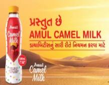 અમૂલે લોન્ચ કર્યું ઊંટડીનું દૂધ, જાણો શરીર માટે કેટલું છે ફાયદાકારક