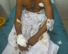 રાજુલામાં ખેતરમાં દવા છાંટતા ખેડૂત પર સિંહે કર્યો હુમલો, જાણો વિગત