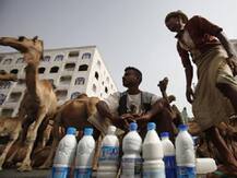 અમુલે ગુજરાતમાં કઈ-કઈ જગ્યાએ ઊંટડીનું દૂધ લોન્ચ કર્યું, જાણો 500 ગ્રામ કેટલા રૂપિયા મળશે?