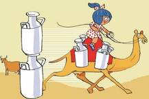 અમુલે ગુજરાતમાં કઈ-કઈ જગ્યાએ ઊંટડીનું દૂધ લોન્ચ કર્યું, જાણો 500 ગ્રામ કેટલા રૂપિયા મળશે?