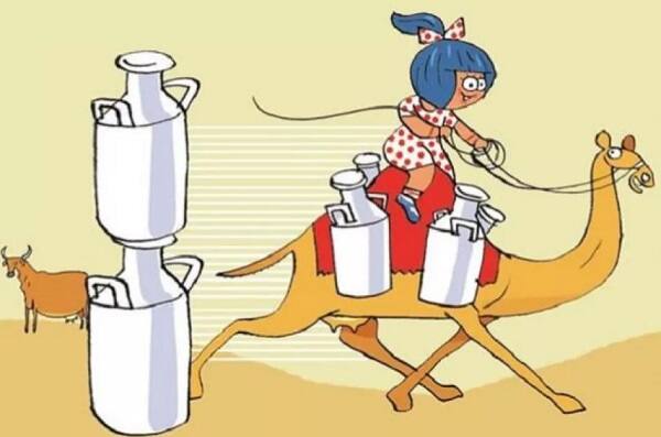 અમદાવાદ: ગુજરાત મિલ્ક માર્કેટિંગ ફેડરેશન અમુલે આજે કેમલ મિલ્ક લોન્ચ કર્યું છે. ગુજરાતમાં ગાંધીનગર, અમદાવાદ અને કચ્છમાં હવે સરળતાથી ઉંટડીનું દૂધ મળી રહેશે. મહત્વનું છે, કે આ દૂધ તમારા નજીકના અમૂલ સ્ટોર પર મળી રહેશે. 500 ગ્રામ દૂધની બોટલની કિંમત 50 રૂપિયા રાખવામાં આવી છે.