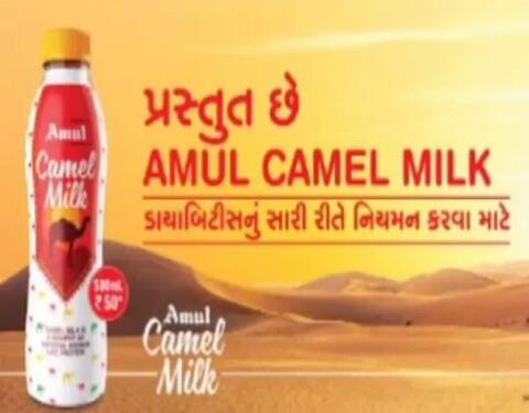 અમુલે ગુજરાતમાં કઈ-કઈ જગ્યાએ ઊંટડીનું દૂધ લોન્ચ કર્યું, જાણો 500 ગ્રામ કેટલા રૂપિયા મળશે? અમુલે ગુજરાતમાં કઈ-કઈ જગ્યાએ ઊંટડીનું દૂધ લોન્ચ કર્યું, જાણો 500 ગ્રામ કેટલા રૂપિયા મળશે?
