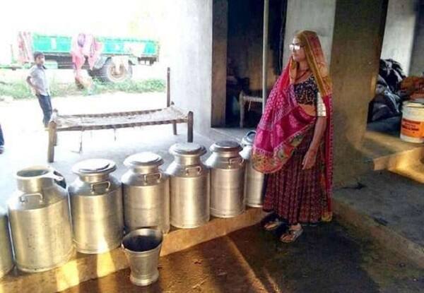 આ અંગે ડેરીનાં ચેરમેન શંકર ચૌધરીએ મુખ્યમંત્રીને રજૂઆત કરી છે. જેથી આગામી દિવસોમાં બટાટાનું પ્રોસેસીંગ પ્લાન્ટનું ખાતમૂહર્ત કરવામાં આવશે. આગામી દિવસોમાં ડેરી દૂધની જેમ હવે ખેડૂતો પાસેથી બટાટાની ખરીદી કરશે. બટાટામાંથી તૈયાર થયેલી પ્રોડક્ટ અમુલ બ્રાન્ડનાં નામે ડેરીમાં બનાવવાનું ચાલુ છે. તેના સારાં પરિણામો મળ્યાં છે. જેથી ડેરીએ હવે પોતાના નામે પ્રોજેક્ટ શરૂ કરવાનો સંકલ્પ કર્યો છે.