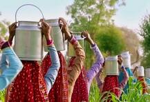 બનાસકાંઠાના પશુપાલકો માટે સારા સમાચાર: દૂધનાં પ્રતિ કિલો ફેટના ભાવમાં કેટલાનો કરાયો વધારો? જાણો વિગત