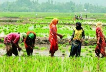 Budget 2019: મોદી સરકારે ખેડૂતો માટે કરી મોટી જાહેરાત, ખેડૂતોને કેટલા રૂપિયા આપશે?