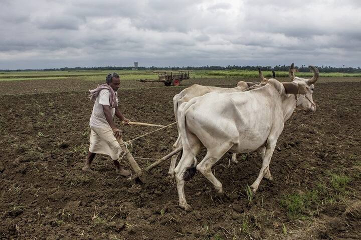 પ્રધાનમંત્રી કિસાન યોજનાઃ-- પ્રધાનમંત્રી કિસાન યોજના અંતર્ગત ખેડૂતોને હવે દર વર્ષે છ હજાર રૂપિયા મળશે. પૈસા સીધા ખેડૂતોના ખાતામાં જમા થશે. 2 હેક્ટરથી વધુ જમીન પર ખેતી પ્રધાનમંત્રી કિસાન યોજના અંતર્ગત આવશે.