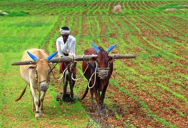 નવી દિલ્હીઃ કેન્દ્ર સરકારે શુક્રવારે પોતાનું વચગાળાનું બજેટ 2019-20 રજૂ કર્યુ, મોદી સરકારે મિડલ ક્લાસ અને ખેડૂતો માટે બજેટમાં જોગાવાઇઓનો વરસાદ કરી દીધો, પણ તમે જાણો છો, બજેટમાંથી મિડલ ક્લાસ અને ખેડૂતોને શું મળ્યુ. અહીં વાંચો વિગતે