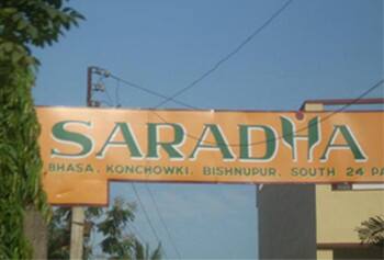 કથિત રીતે ત્રણ હજાર કરતોડનો આ ગોટાળો એપ્રિલ 2013માં સામે આવ્યો હતો. આરોપ છે કે શારદા ગૃપની કંપનીઓએ ખોટી રીતે રોકાણકારો પાસેથી પૈસા એકઠા કર્યા હતા અને તેમને પરત ન હતાં આપ્યા. ગોટાળાના ખુલાસા બાદ જ્યારે લોકોએ પૈસા માંગવાનું શરુ થયુ ત્યારે કેટલાક એજન્ટોએ તો જીવ પણ આપી દીધો હતો. આ ગોટાળાને લઇને પશ્ચિમ બંગાળની સરકાર પર સવાલ ઉઠ્યા હતા. 