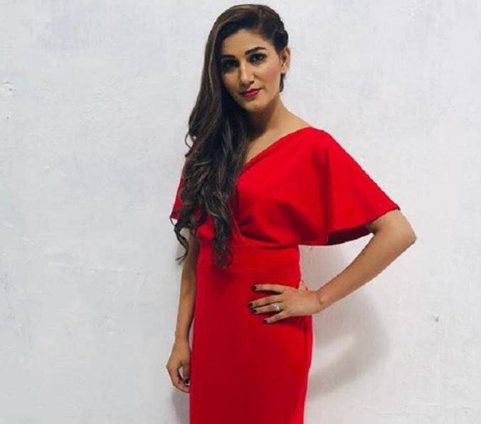  રાજગઢ જિલ્લાના પચોરમાં કે.કે ઈવેન્ડ ઝોન એન્ડ પ્રોડક્શન દ્વારા સપના ચૌધરીના સ્ટેજ શોનું આયોજન કરવામાં આવ્યું હતું. સપના ચૌધરીના કાર્યક્રમને એક કલાક જેટલો પણ સમય થયો નહતો ત્યાં કાર્યક્રમમાં અવ્યવસ્થા સર્જાઈ હતી. 